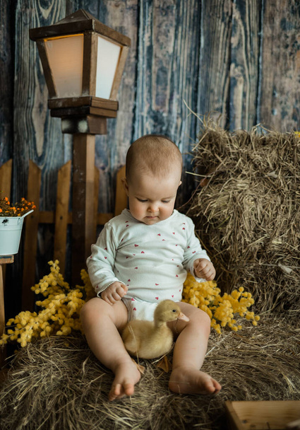 白人ボディスーツの白人の赤ん坊女の子座っていますA haystackとともにA黄色ducklingで素朴なスタイル - 写真・画像