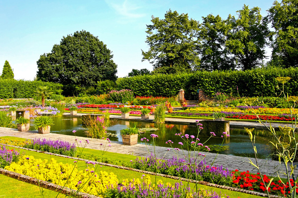 Garden pond - Photo, Image