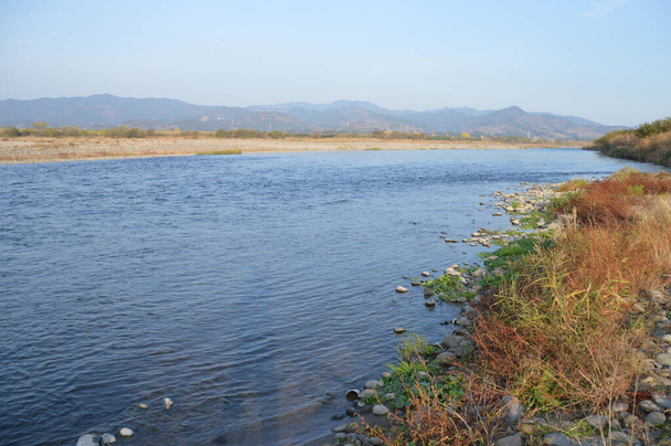 Four Seasons of the Chikugo River Fukuoka prefektura Jpan / Chikugo Rzeka jest największą rzeką w Japonii Kyushu w odległości 143,0 km. - Zdjęcie, obraz