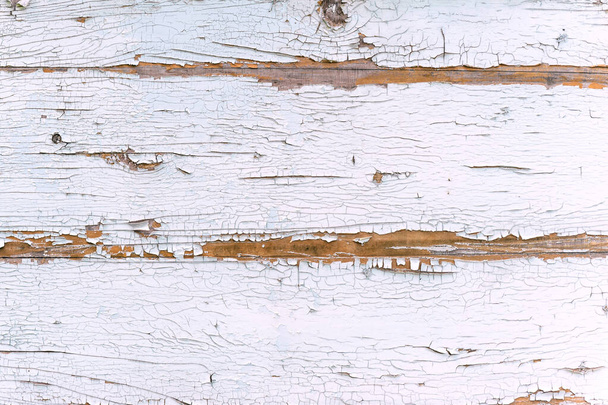Close-up, texture of peeling white paint from wood - Photo, Image