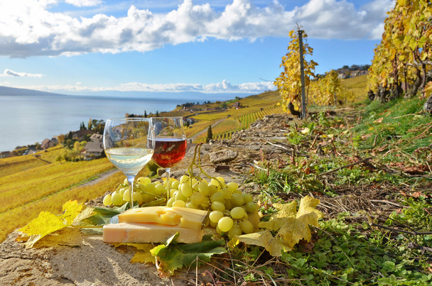 Dos tipos de vino, queso y uvas
 - Foto, Imagen