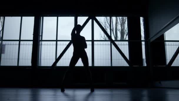 Sexy tancerka sylwetka szkolenia w klasie. Zmysłowa kobieta tańcząca w domu. - Materiał filmowy, wideo