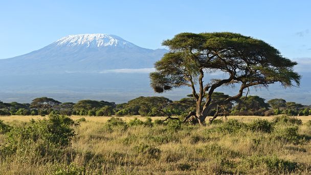 park narodowy Amboseli - Zdjęcie, obraz