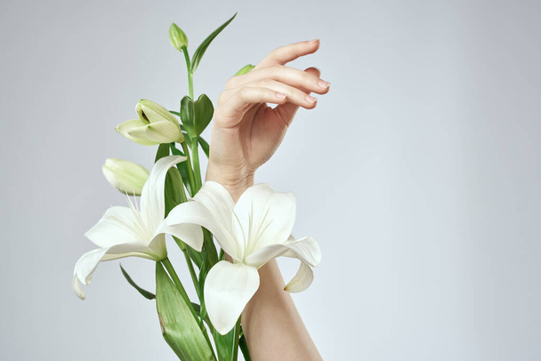 Ein Strauß weißer Blumen und weiblicher Hände auf einem hellen Hintergrund abgeschnittene Ansicht Nahaufnahme - Foto, Bild