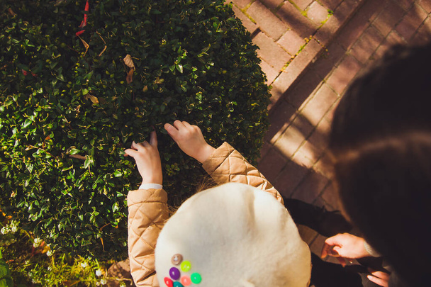 Una niña pequeña cuidadosamente considerando el arbusto con hojas en el soleado día de otoño - Foto, imagen