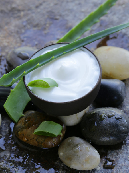 kosmetyk krem balsam z naturalny zielony świeży aloe vera - Zdjęcie, obraz
