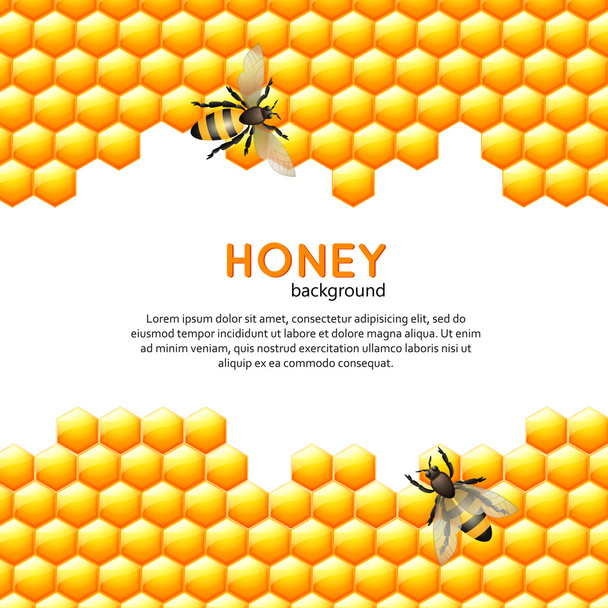 Fond abeille miel
 - Vecteur, image