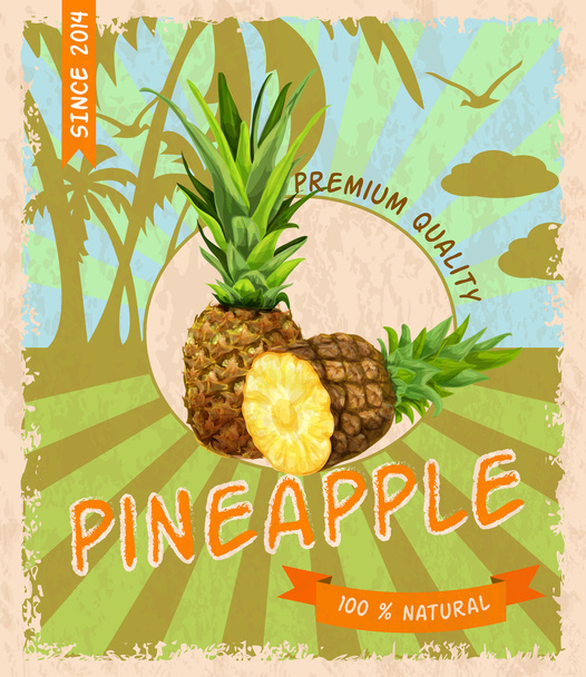 Pineapple retro poster - Vector, Image
