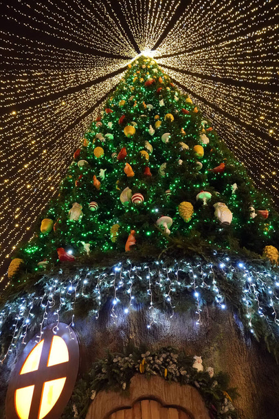 新年2021のキエフの街の広場にある中央クリスマスツリー - 写真・画像