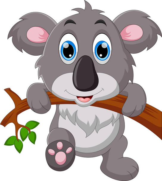 Koala Free Stock Vectors