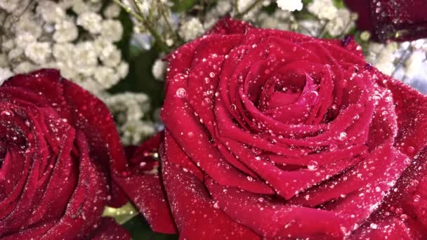 Κοντινό πλάνο από ένα φρέσκο απολαυστικό μπουκέτο τριαντάφυλλα με σταγόνες νερού. Παράδοση λουλουδιών ανθοδέσμες. Επιλεκτική εστίαση, ρηχό βάθος πεδίου - Πλάνα, βίντεο