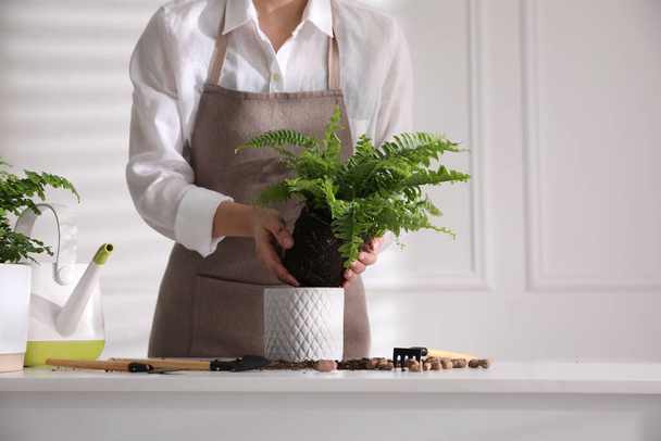 Woman planting fern at white table indoors, closeup - Foto, immagini