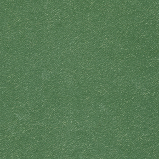 old green worn leatherette - Фото, зображення