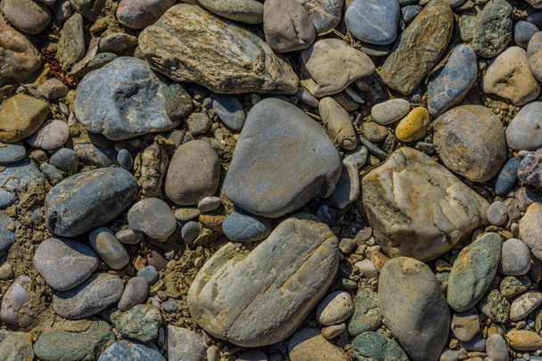 πολλές πέτρες στον ήλιο από ένα αποξηραμένο ρυάκι ενώ περπατάτε - Φωτογραφία, εικόνα
