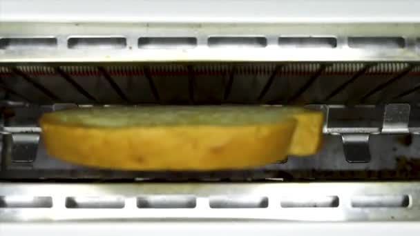 Поджаренный хлеб выпрыгивает из тостера в замедленной съемке - Кадры, видео