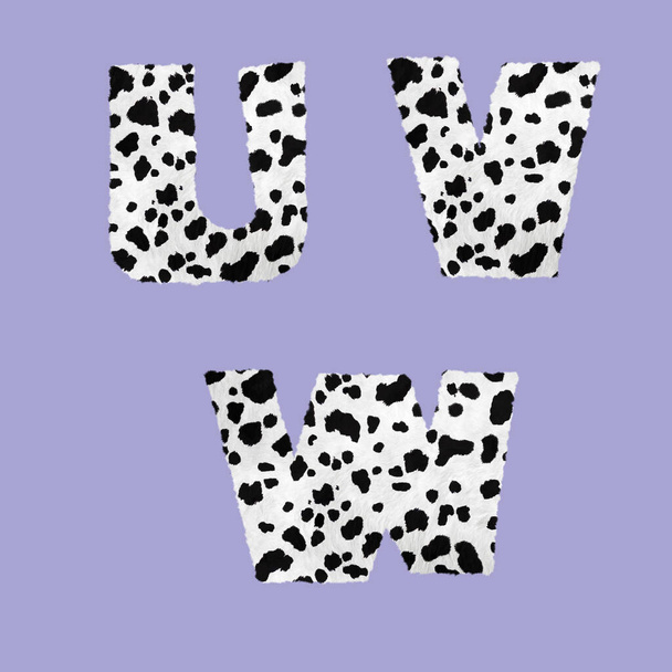 Representación 3D del alfabeto dálmata de la piel - letras U-W - Foto, imagen