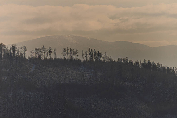 Zdjęcie Hrobacza Meadow (pol. Hrobacza ka) i Międzybrodzie Białskie zimą zabrane z Zar Mountain (pol. Góra ar) - Zdjęcie, obraz