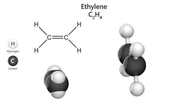 Strukturální chemický vzorec a molekulární struktura Ethylenu (C2H4). Model chemické struktury: Ball and Stick + Space-Filling. 3D vykreslení. Bezešvé smyčky. Izolováno na bílém pozadí. - Záběry, video