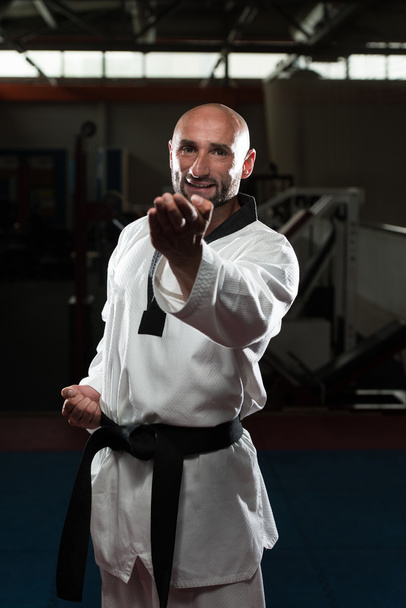 Mature Man Practicing His Karate Moves - 写真・画像