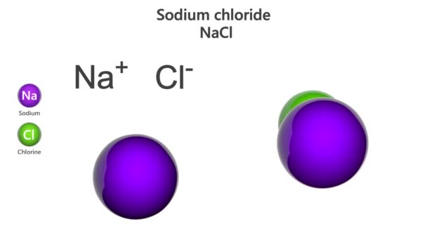 Хлорид натрия, широко известный как соль, является ионным соединением с химической формулой NaCl. Модель химической структуры: шар и палка + заполнение пространства. 3D визуализация. Бесшовный цикл. Изолированный на белом фоне. - Кадры, видео