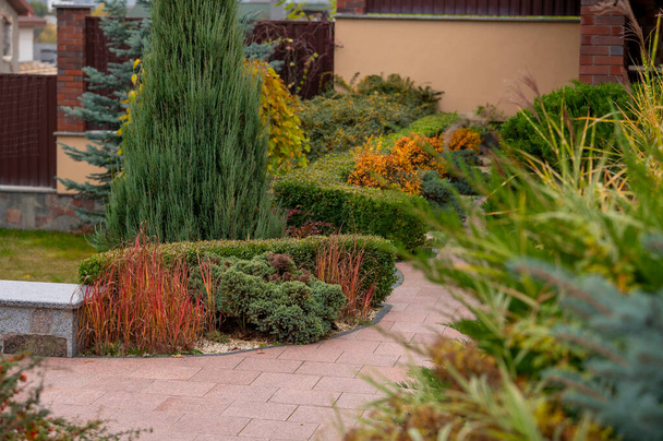 ランドスケープデザインの花壇には常緑樹や季節の植栽や低木が家の領土を飾る - 写真・画像
