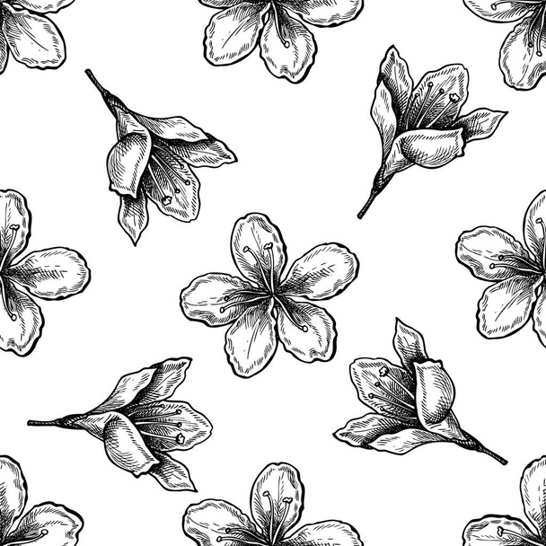 Seamless pattern with black and white plum flowers - Διάνυσμα, εικόνα