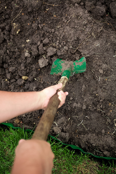 photo du jardinier creusant du sol avec une pelle
 - Photo, image