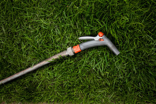 фото садового шланга, лежащего на свежей зеленой траве
 - Фото, изображение