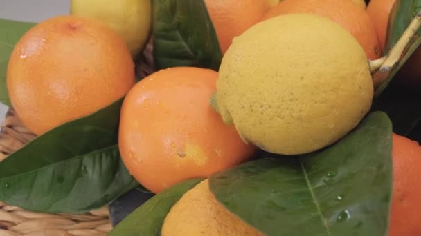 Zitrusfrüchte Zitrone und Orange aus nächster Nähe. Bunte gesunde Fruchtmischungen rotieren auf Weidenkorb. - Filmmaterial, Video
