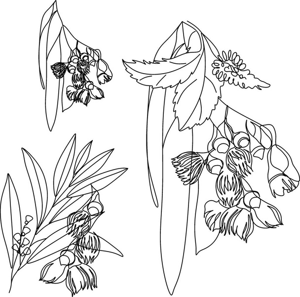 Herbs. Spices. Herbs drawn black lines on a white background. Vector illustration. - Vector, Image