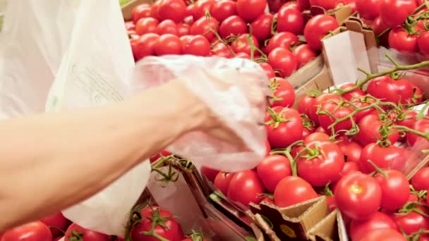 Сбор помидоров в продуктовом магазине. Здоровое питание овощей в супермаркете. Выбор томатов на рынке в замедленной съемке. - Кадры, видео