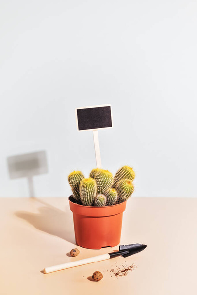 Composition with a cactus in a pot, a spatula and an inscription board. Home decor and gardening concept. Hobbies growing home plants and gardening apartments - Photo, image