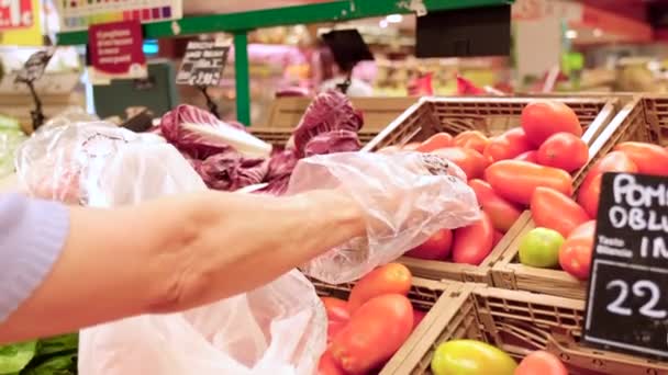 Recogiendo tomates a mano en la tienda de comestibles. Elegir tomate en el mercado. Comprar verduras frescas y saludables. - Imágenes, Vídeo