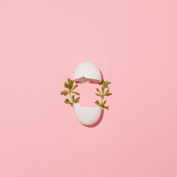 White broken egg with green grass. Modern easter concept very artistic. Minimalist idea. - Photo, Image