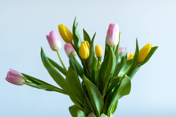 детали розовых и желтых тюльпанов внутри зеленой вазы на деревянном столе. белый фон. - Фото, изображение