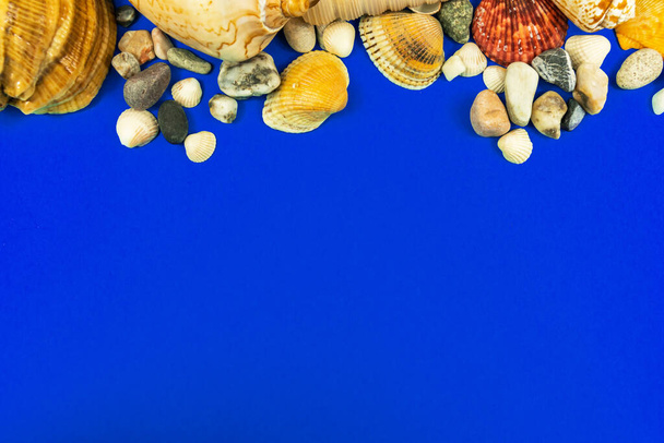 Summer and sea border composition on a blue background with seashells and pebble, copy space and top view, flat lay concept photo - Fotoğraf, Görsel