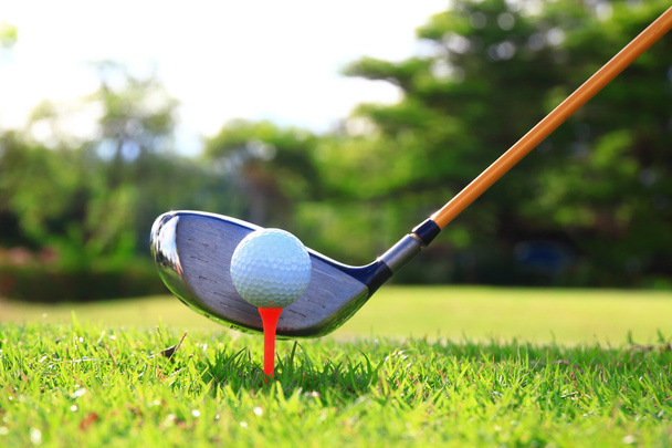 Golf balls and Driver on green grass background - Photo, image