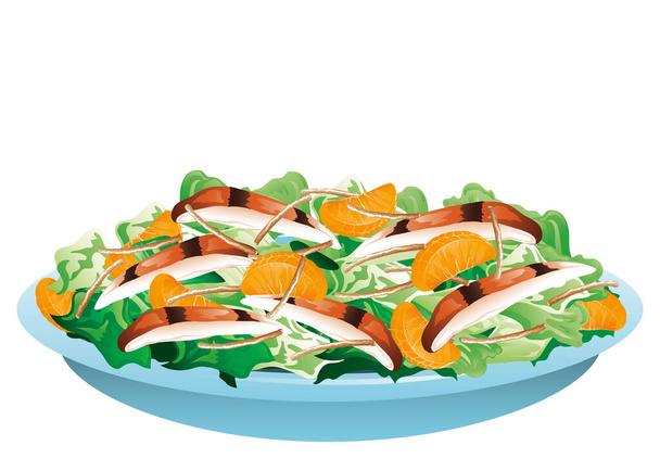 Illustrazione di un'insalata di pollo all'arancia - Vettoriali, immagini