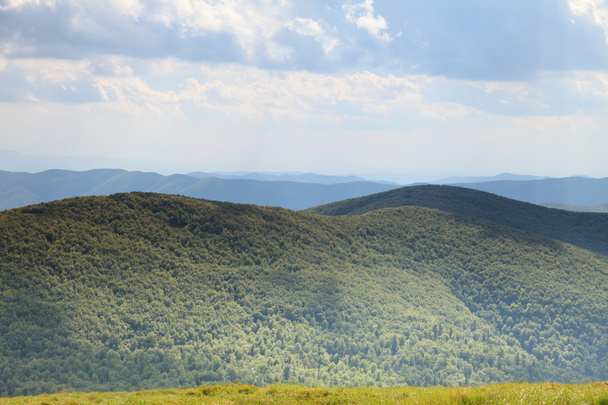 Nature. Green mountain landscape in the summer - Fotó, kép