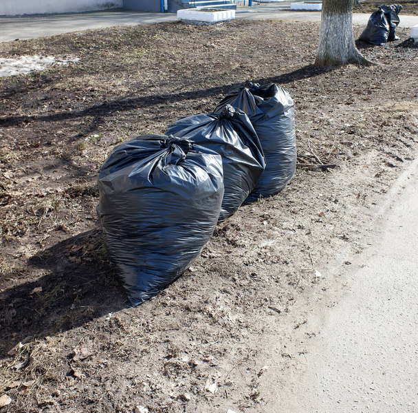 σακούλες σκουπιδιών με σκουπίδια που συλλέγονται μετά το χειμώνα. ανοιξιάτικος καθαρισμός της πόλης. - Φωτογραφία, εικόνα