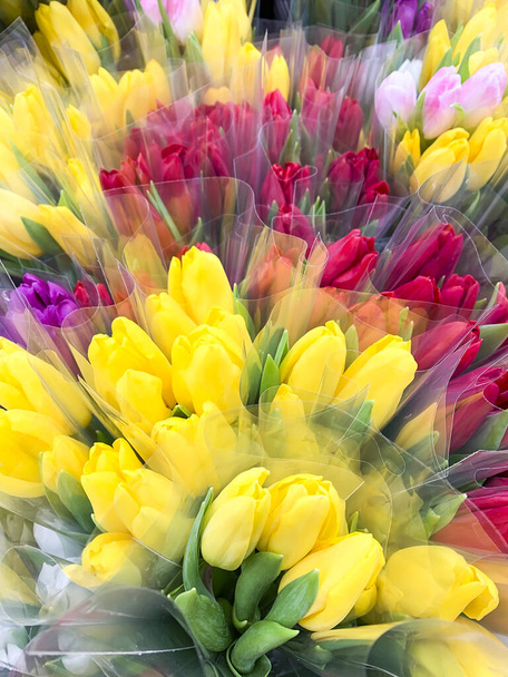 Роскошные букеты разноцветных тюльпанов. Весенние цветы. Подарки - Фото, изображение