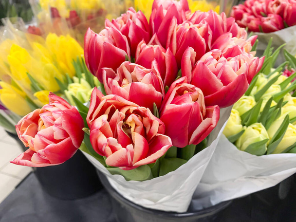 Розкішні букети різнокольорових тюльпанів. Весняні квіти. Подарунки
 - Фото, зображення