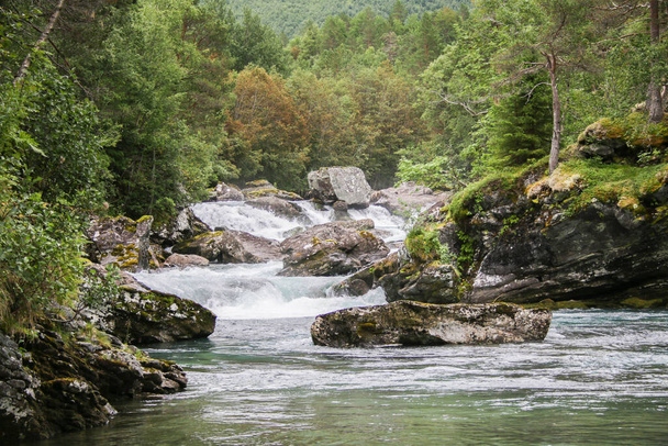 brave river through the forest in Norway - Fotoğraf, Görsel