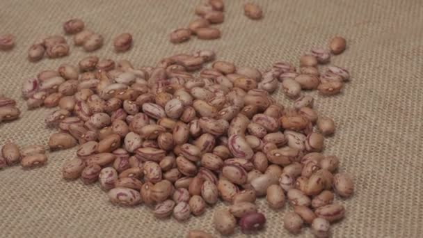 Dry beans borlotti rotating on jute canvas - Imágenes, Vídeo
