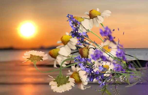 valkoinen villi kamomilla kukkia kukkakimppu laventeli ja päivänkakkara puinen päälle laiturilla kullan auringonlaskun merellä  - Valokuva, kuva