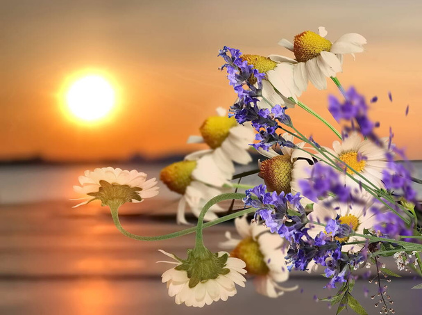 valkoinen villi kamomilla kukkia kukkakimppu laventeli ja päivänkakkara puinen päälle laiturilla kullan auringonlaskun merellä  - Valokuva, kuva