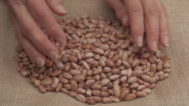 Organic agriculture hand giving dry red beans legumes healthy nutritious Mediterranean food - Materiał filmowy, wideo