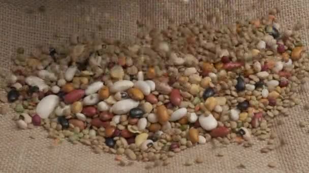 Dry mixed legumes, red white beans, lentils for soup, organic agriculture falling, veggie vegetarian vegan protein source in mediterranean healthy diet nutrition - Πλάνα, βίντεο
