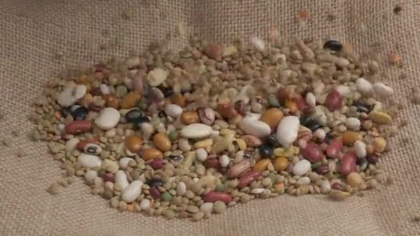 Mixed legumes soup beans falling, organic agriculture - Materiaali, video