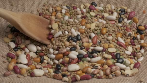 Dry mixed legumes on wooden spoon slow motion, organic agriculture, Mediterranean healthy diet - Materiał filmowy, wideo